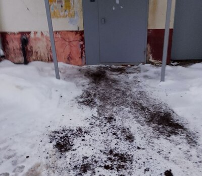 Очистка входных групп на МКД